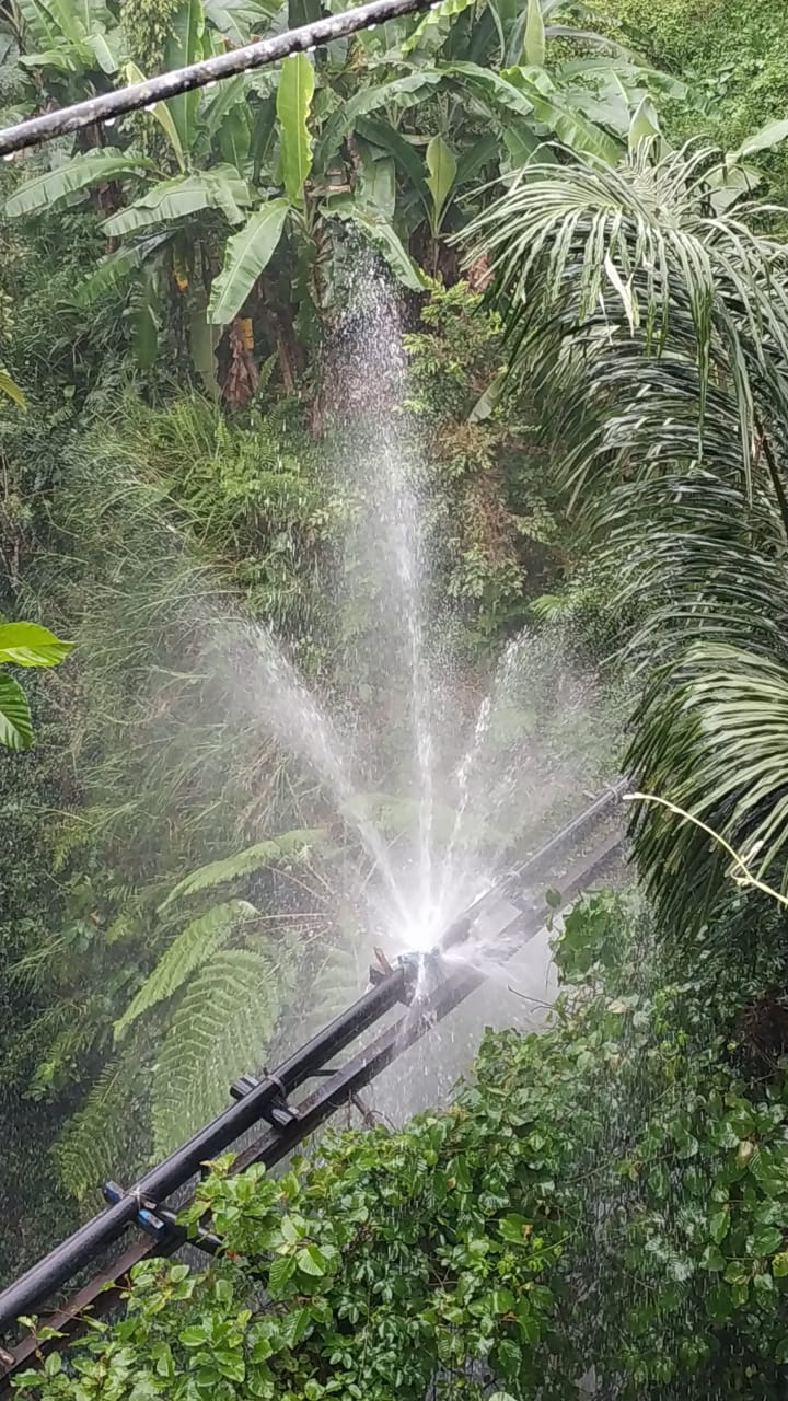 Info berita,Layanan PDAM,Kegiatan PDAM,gangguan layanan pdam,Berita PDAM,PERUMDA AMTS,PERUMDA AMTS Kabupaten Gianyar