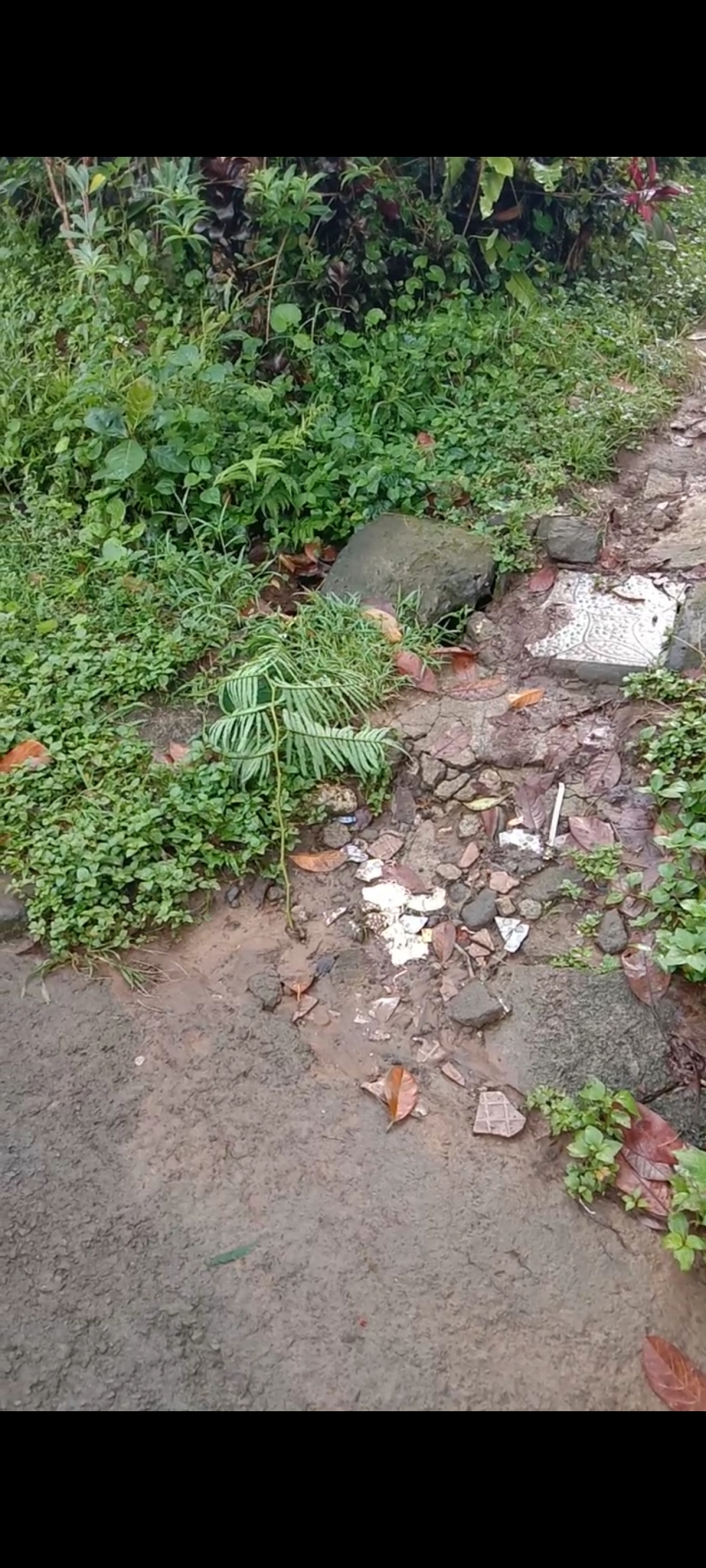 Info berita,Layanan PDAM,Kegiatan PDAM,gangguan layanan pdam,Berita PDAM,PERUMDA AMTS,PERUMDA AMTS Kabupaten Gianyar