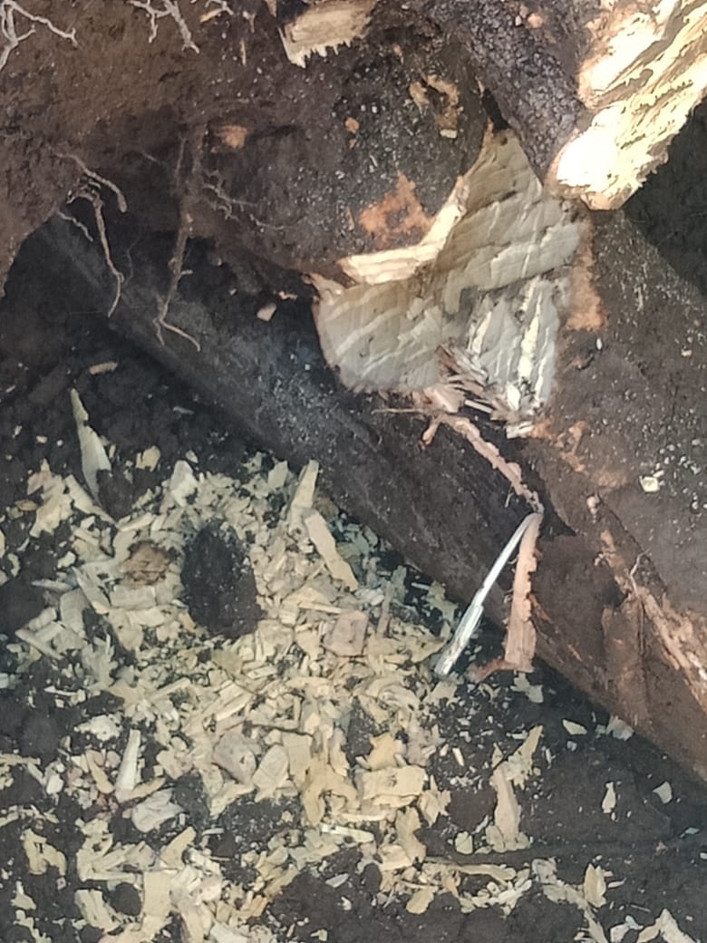 Info berita,Layanan PDAM,Kegiatan PDAM,gangguan layanan pdam,Berita PDAM,PERUMDA AMTS,PERUMDA AMTS Kabupaten Gianyar